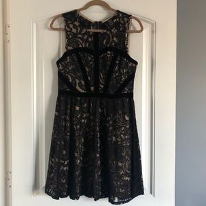 Black Lace Overlay Dress